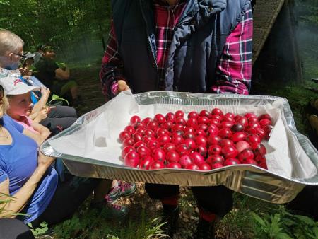 Pohod v Pekel in po Vorančevi poti ob deseti obletnici Festivala solzic (18)